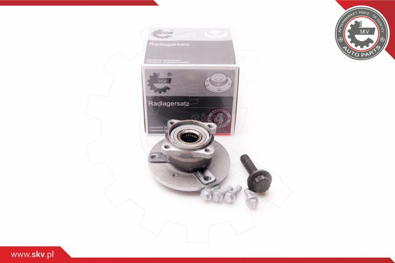 ESEN SKV Radlagersatz