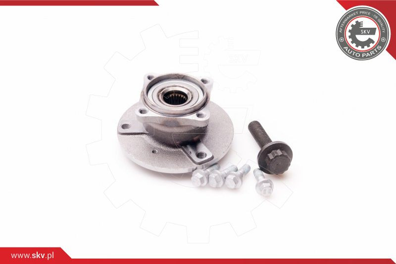 ESEN SKV Radlagersatz