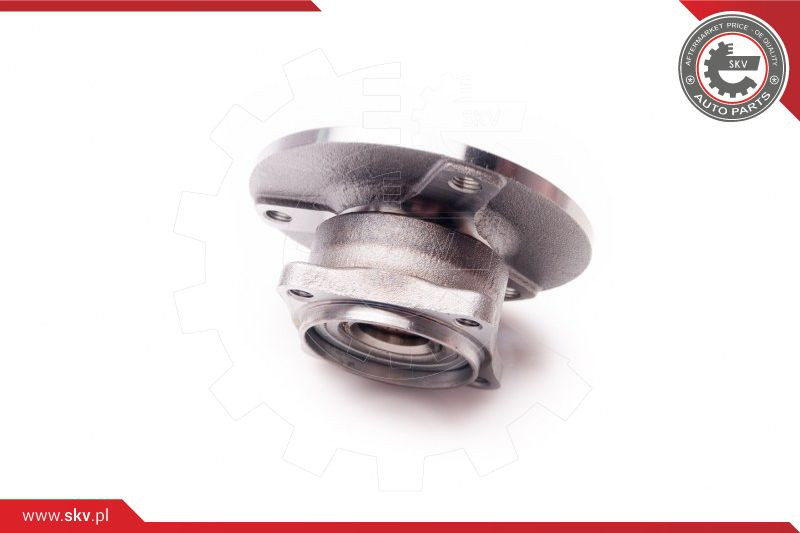 ESEN SKV Radlagersatz