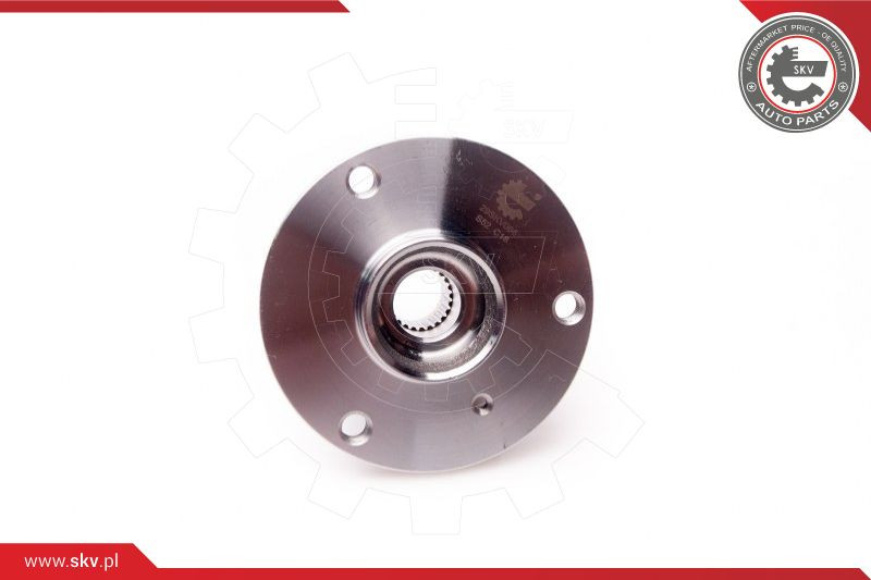 ESEN SKV Radlagersatz