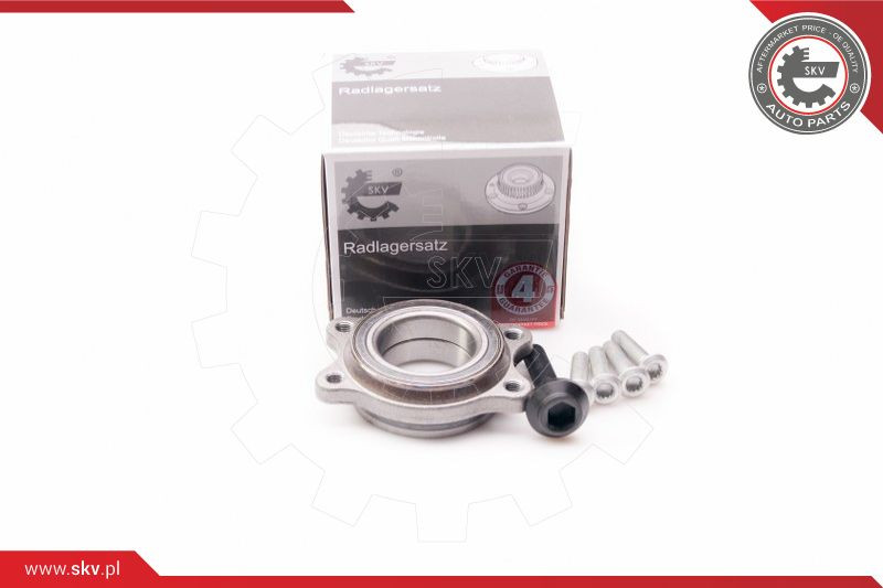ESEN SKV Radlagersatz