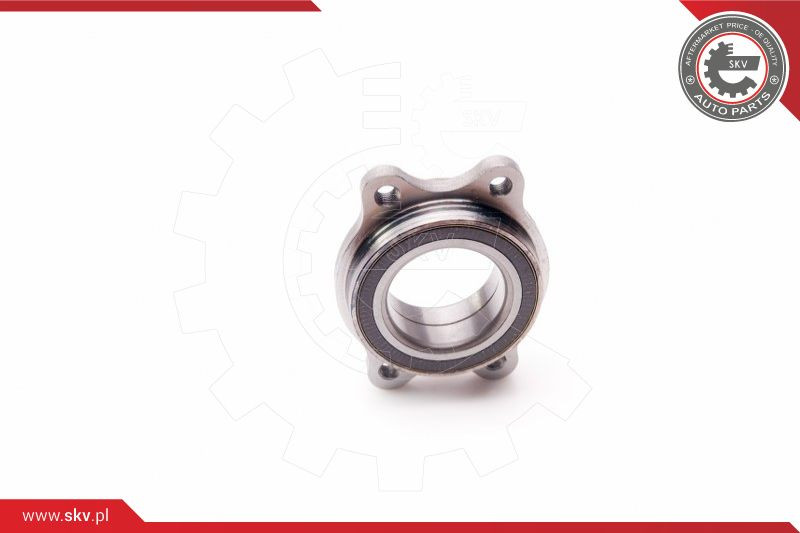 ESEN SKV Radlagersatz