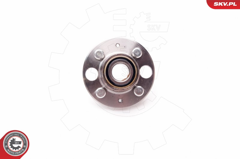 ESEN SKV Radlagersatz