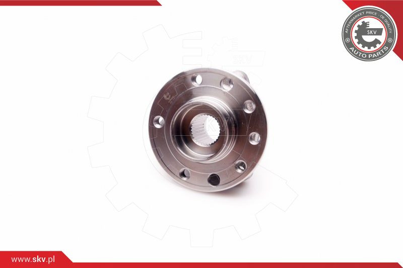 ESEN SKV Radlagersatz