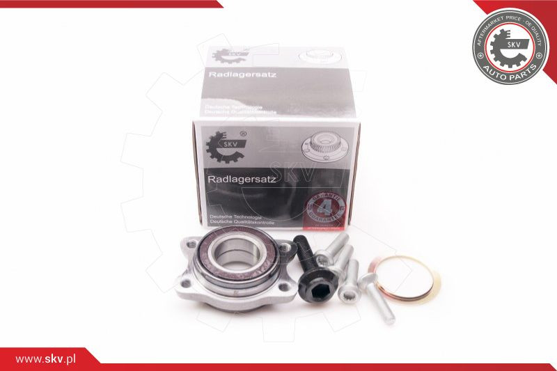 ESEN SKV Radlagersatz
