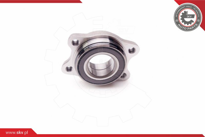 ESEN SKV Radlagersatz