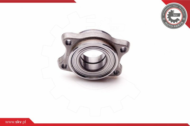 ESEN SKV Radlagersatz