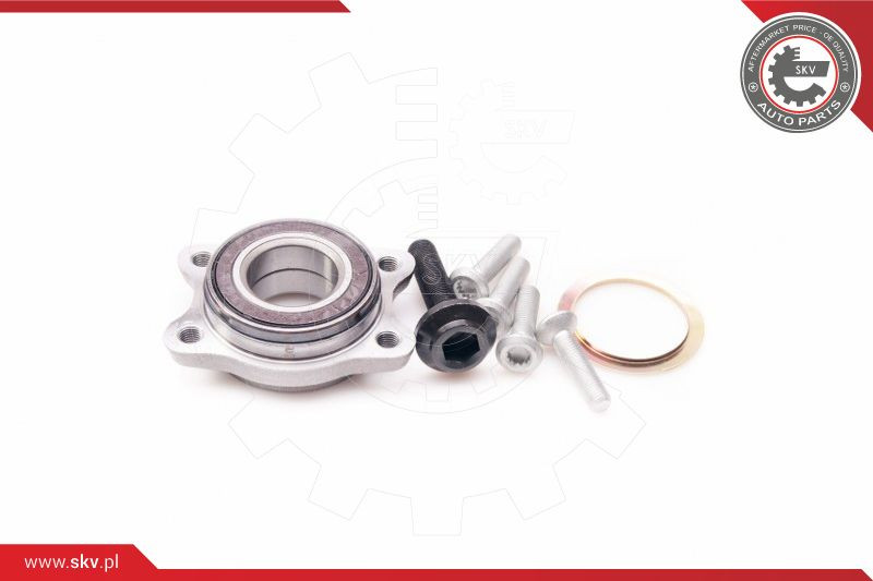 ESEN SKV Radlagersatz