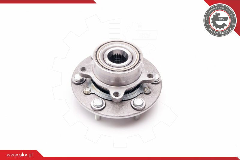 ESEN SKV Radlagersatz