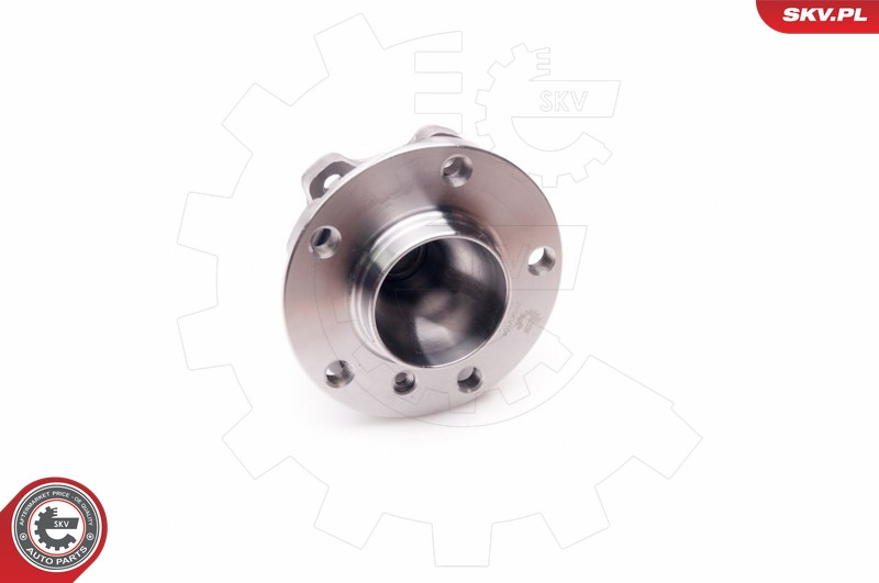 ESEN SKV Radlagersatz