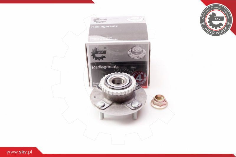 ESEN SKV Radlagersatz