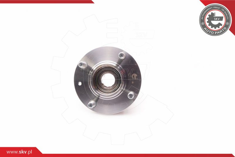 ESEN SKV Radlagersatz