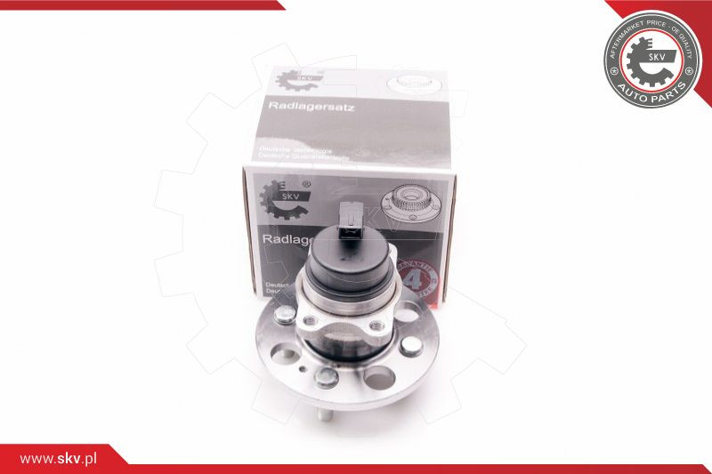 ESEN SKV Radlagersatz