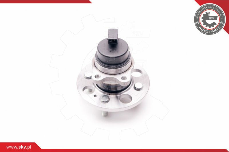 ESEN SKV Radlagersatz
