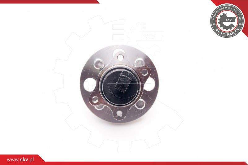 ESEN SKV Radlagersatz