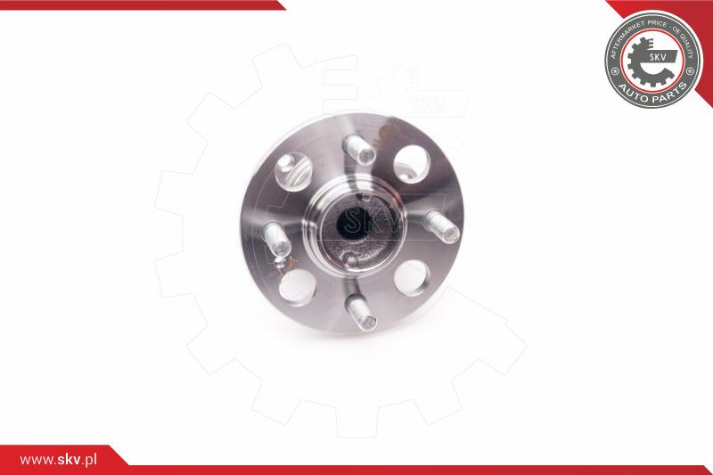 ESEN SKV Radlagersatz