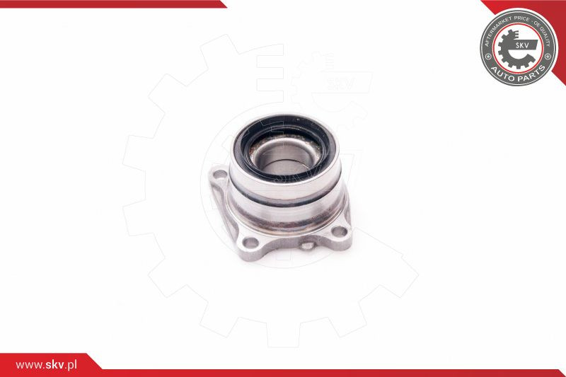 ESEN SKV Radlagersatz
