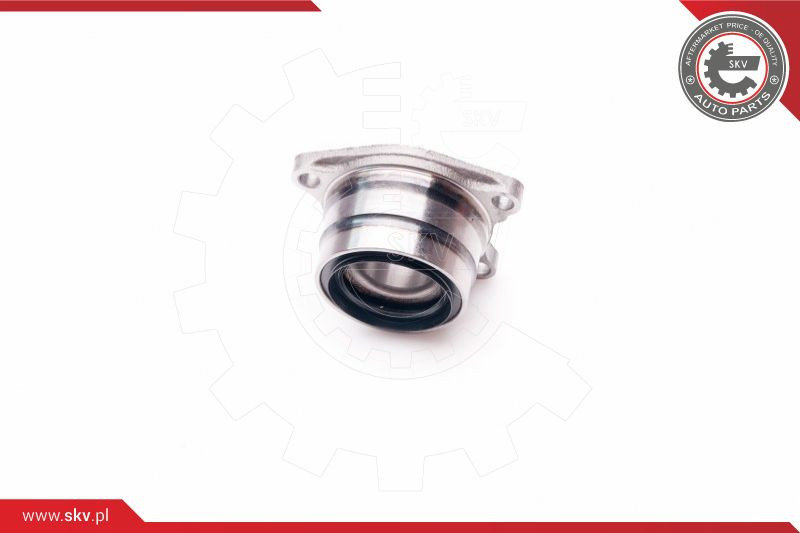 ESEN SKV Radlagersatz