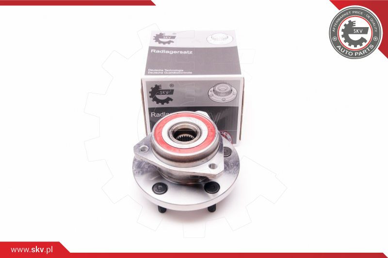 ESEN SKV Radlagersatz
