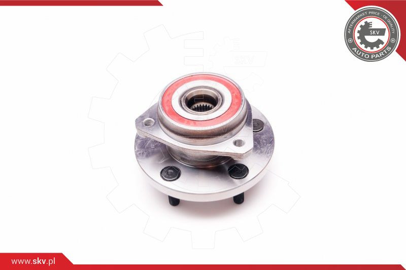 ESEN SKV Radlagersatz