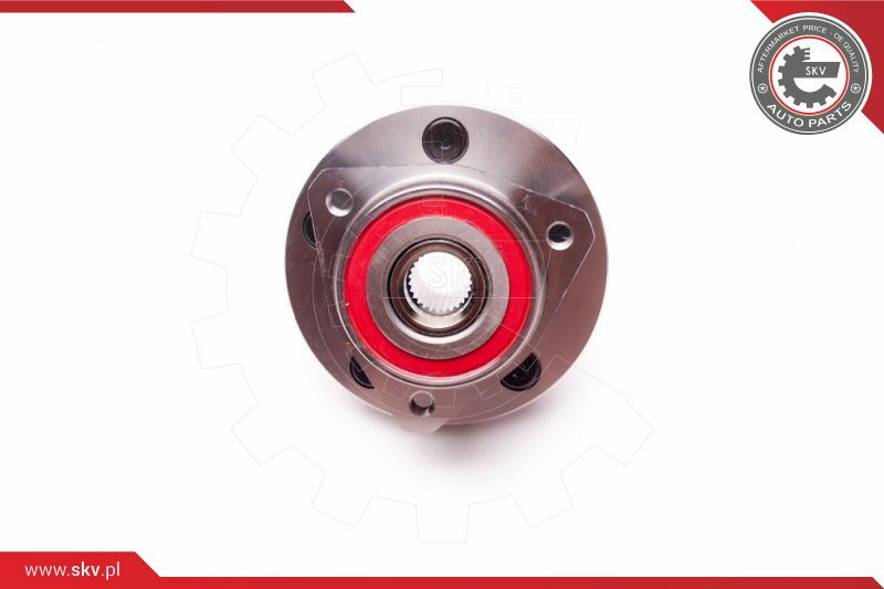 ESEN SKV Radlagersatz