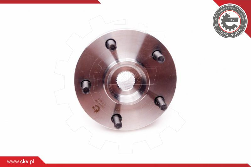 ESEN SKV Radlagersatz