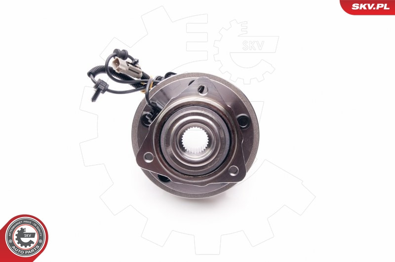 ESEN SKV Radlagersatz