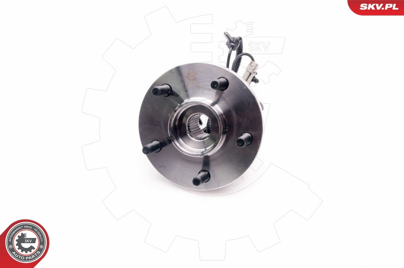 ESEN SKV Radlagersatz