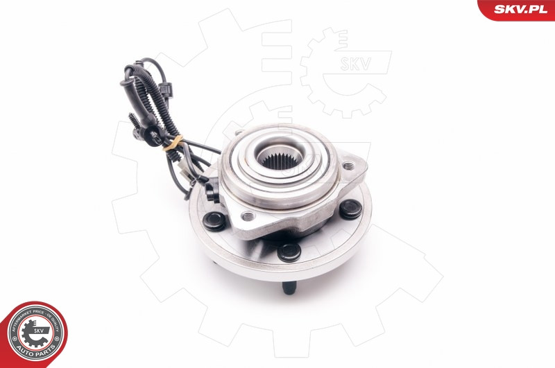 ESEN SKV Radlagersatz