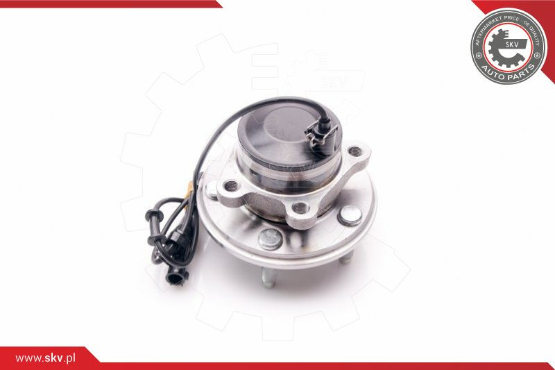 ESEN SKV Radlagersatz