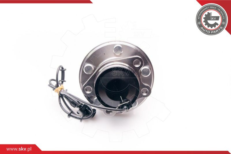 ESEN SKV Radlagersatz