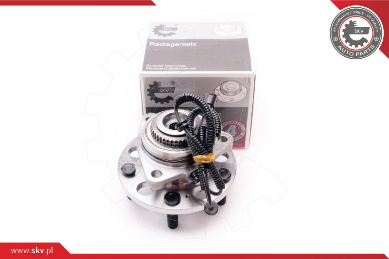 ESEN SKV Radlagersatz