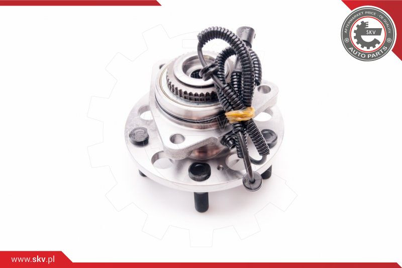 ESEN SKV Radlagersatz