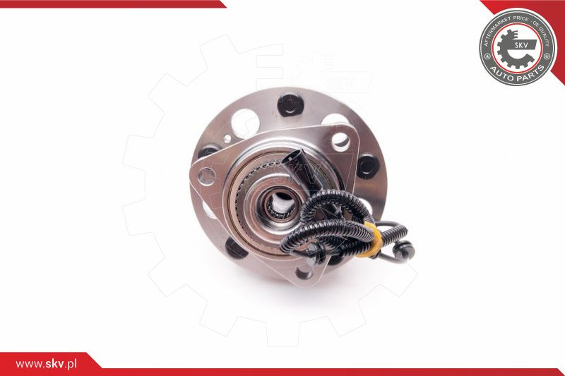 ESEN SKV Radlagersatz