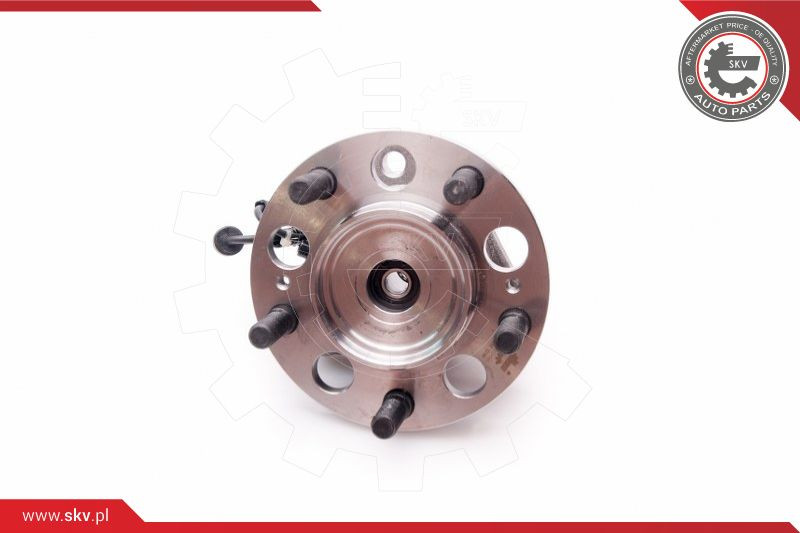 ESEN SKV Radlagersatz