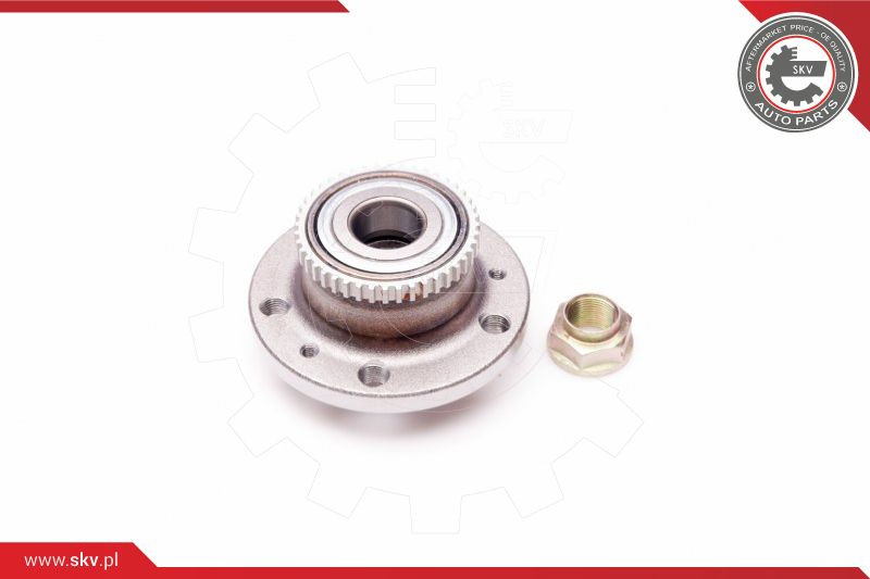 ESEN SKV Radlagersatz