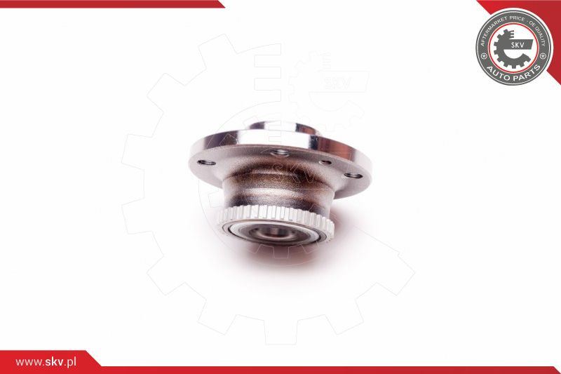 ESEN SKV Radlagersatz