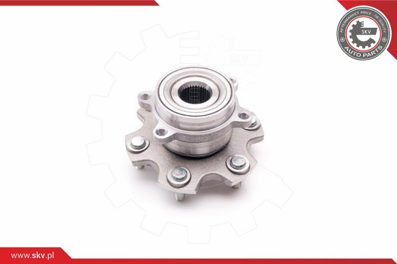 ESEN SKV Radlagersatz
