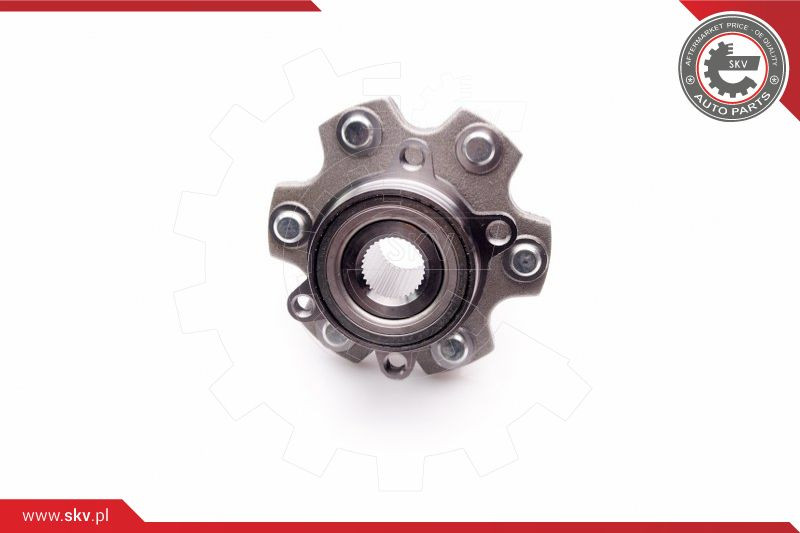 ESEN SKV Radlagersatz