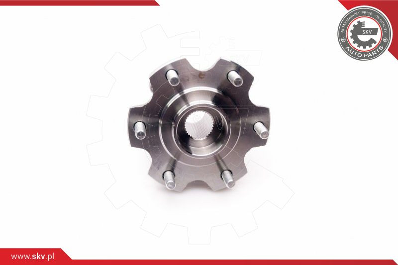 ESEN SKV Radlagersatz