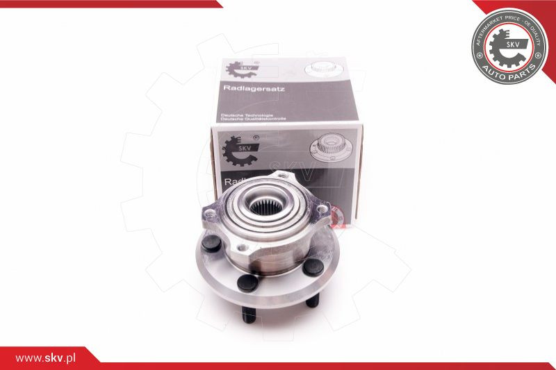 ESEN SKV Radlagersatz