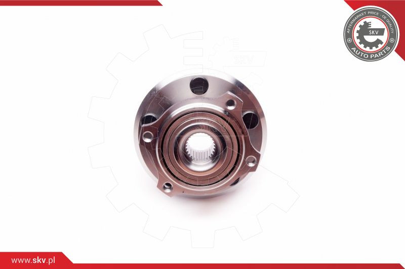 ESEN SKV Radlagersatz