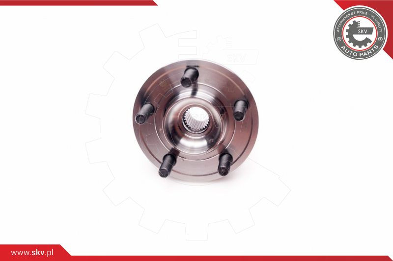 ESEN SKV Radlagersatz