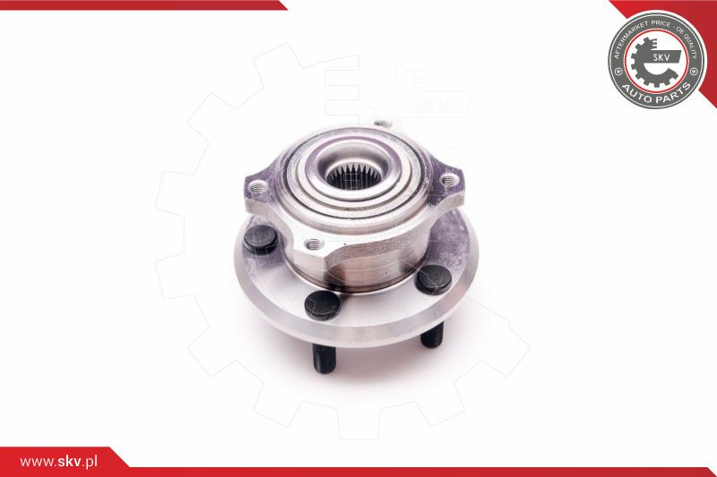 ESEN SKV Radlagersatz