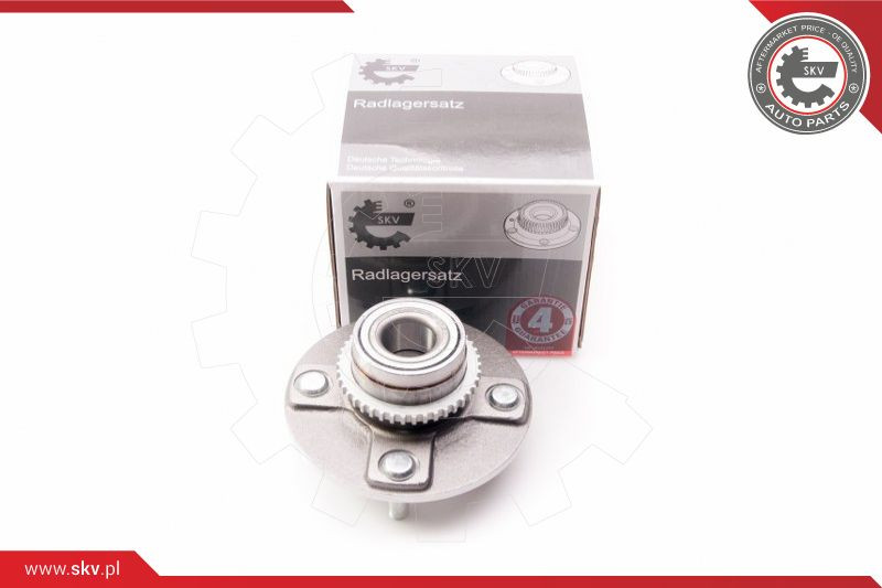 ESEN SKV Radlagersatz