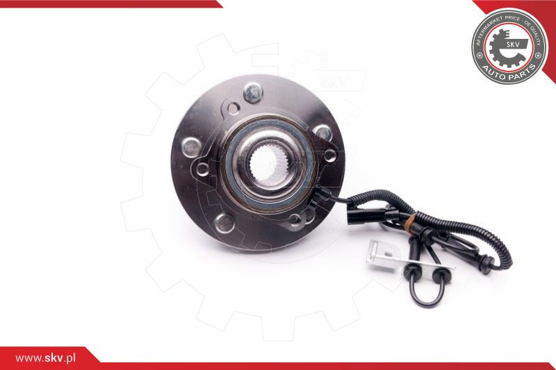 ESEN SKV Radlagersatz