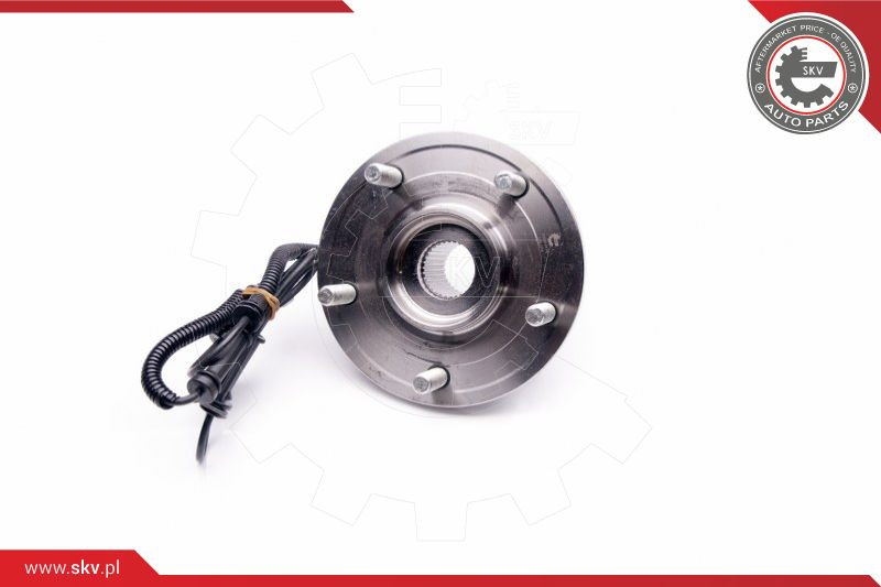 ESEN SKV Radlagersatz