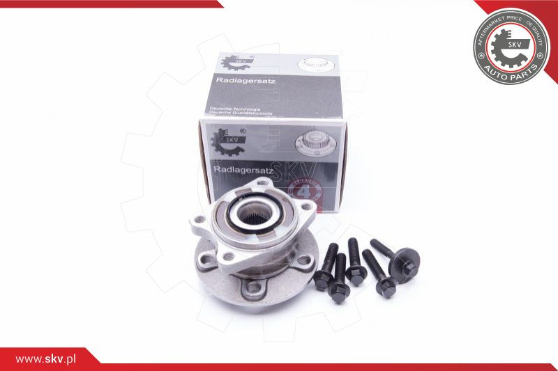 ESEN SKV Radlagersatz