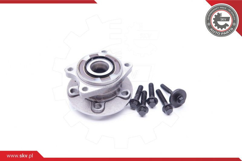 ESEN SKV Radlagersatz