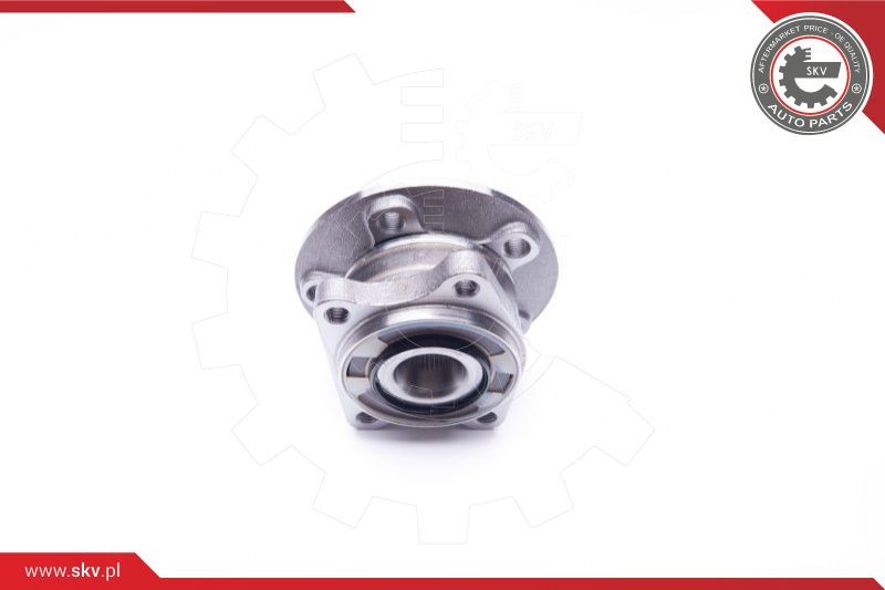 ESEN SKV Radlagersatz